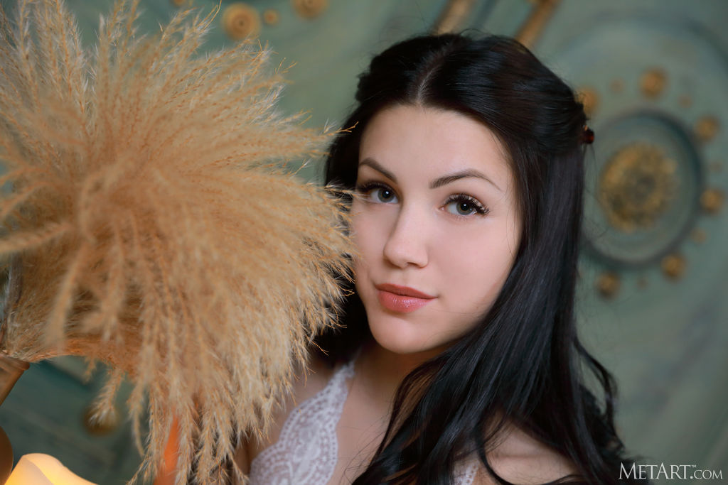 Bembi Jet Black Hair Falling Around Her Slender Shoulders And Framing Her Seductive Smile