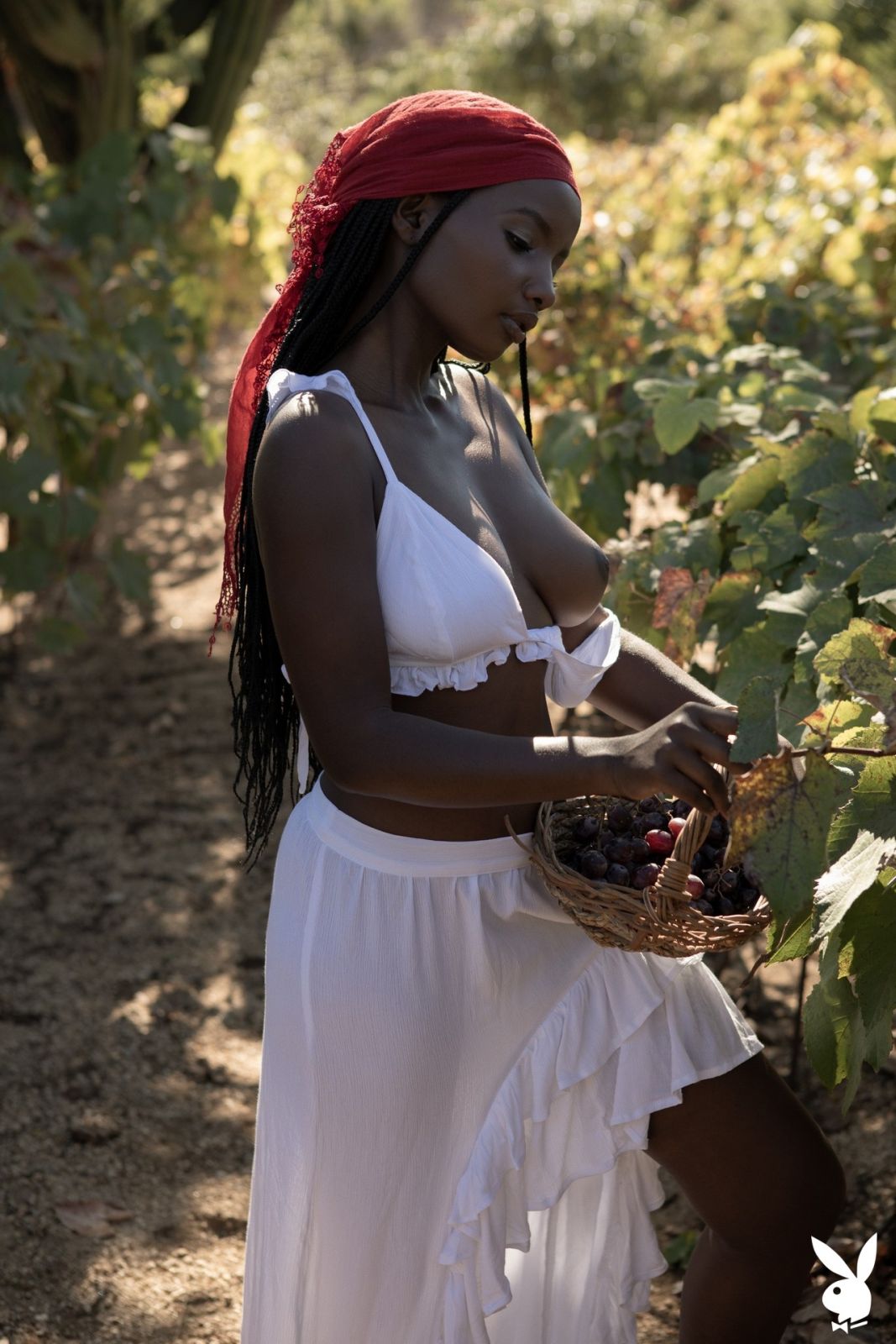 Shasta Wonder shows her dark booty and breasts in the grape field