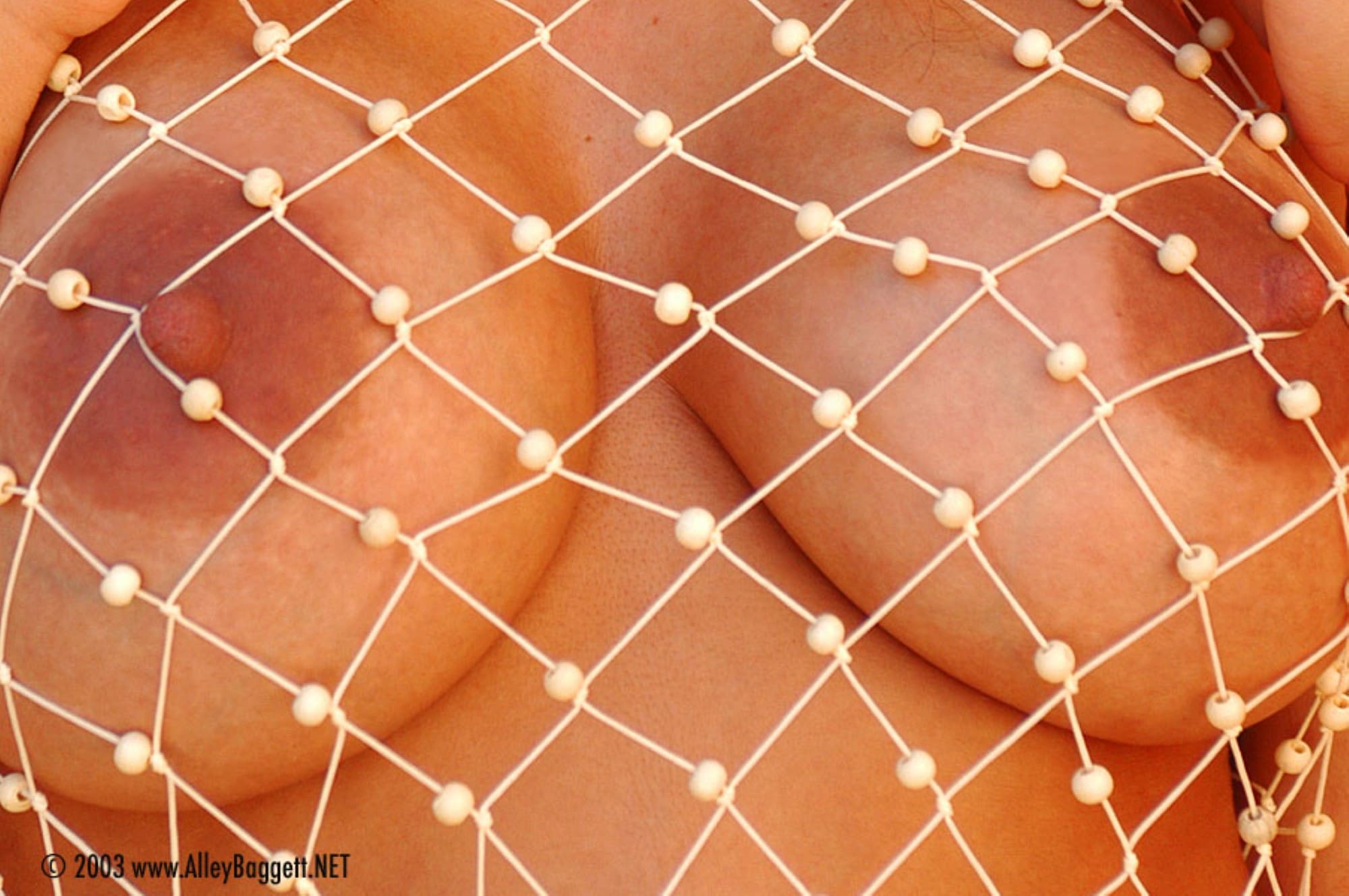 Alley Baggett posing in a sexy pearl fishnet