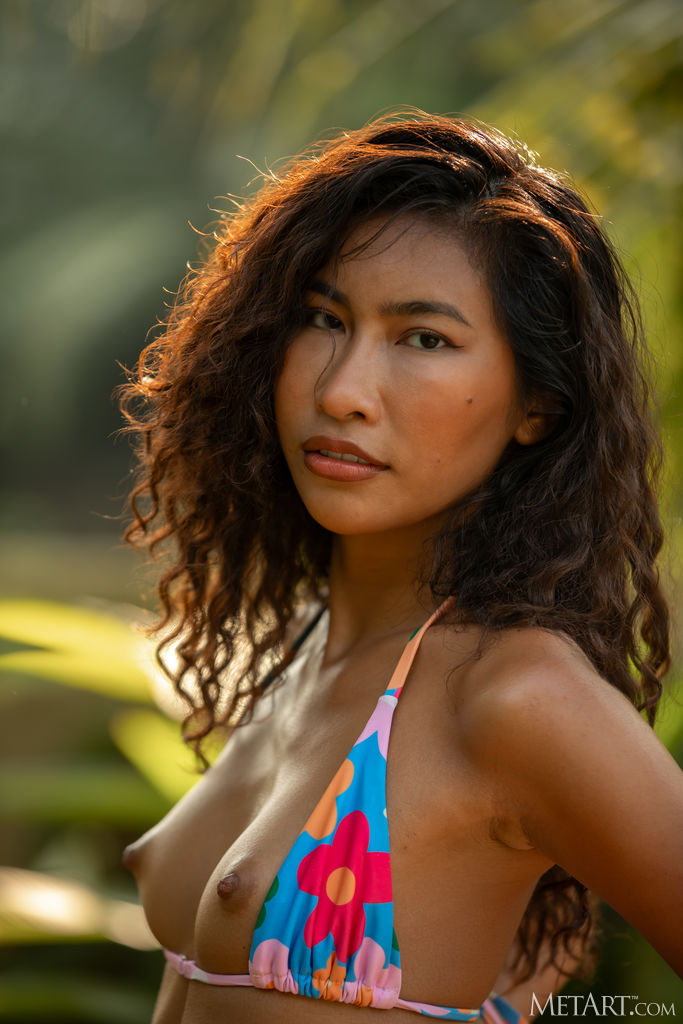 Sultry Thai Beauty Niki Bares Her Shaved Pussy And Perfect Ass To The Elements - Met Art